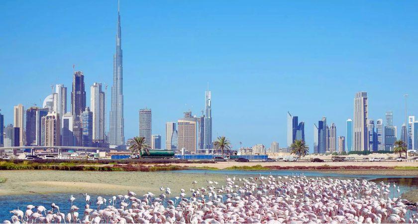 Off-Plan Properties in Ras Al Khor Dubai